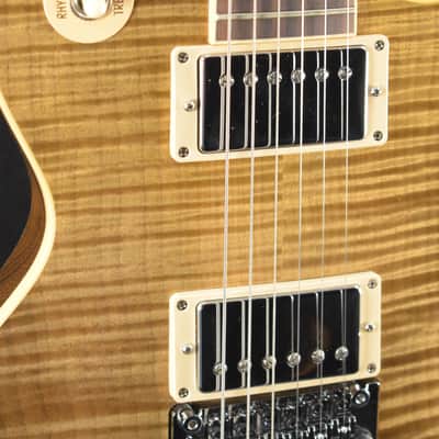 Gibson Custom Shop Les Paul Axcess Standard Figured Floyd Rose Gloss DC Rust image 3