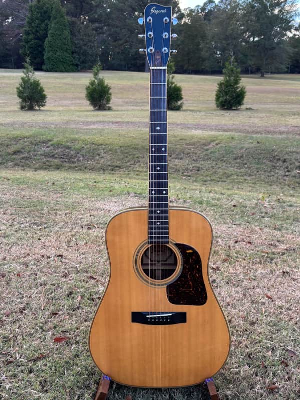 Jagard Acoustic Guitar MIJ JG 25 Early 70’s - Natural image 1