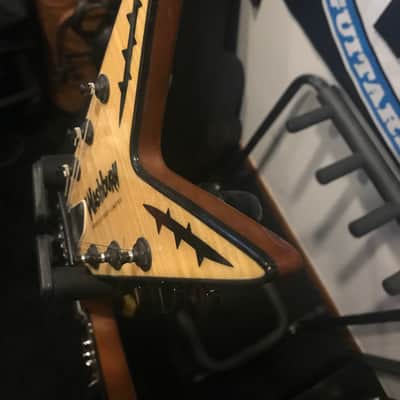 Washburn Southern Cross Dimebag Darrell BSG Customs image 9