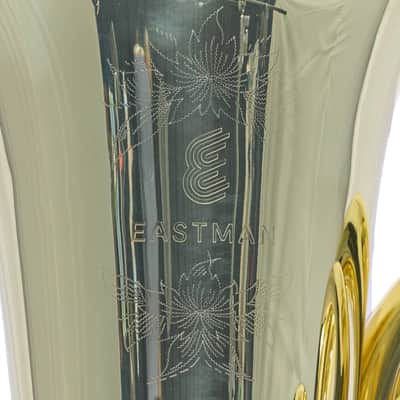 Eastman EBB562 Professional BBb 4/4 Rotary Valve Tuba SN Y2501860 image 2