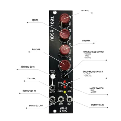 WILDSYNC ADSR 4001 Bild 1
