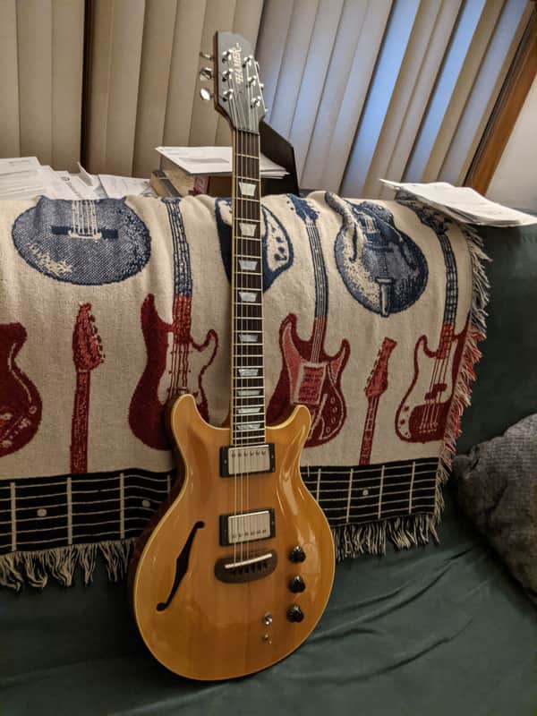 Hamer Duo Tone image 1