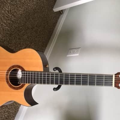 Ison El Morocco Nylon String  Guitar 2012 image 1