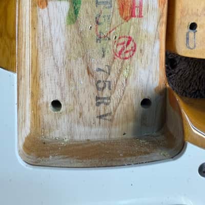 Early 90's Fender ST54-85RV "Custom Edition" '54 Stratocaster Reissue - Nitro Finish - Made in Japan (FujiGen) - Pro Set Up w Perfect Frets/Action/Intonation! (Extrad) image 17