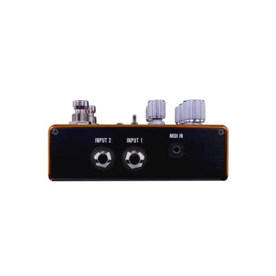 Source Audio SA281 Pathways Reverb and Tremolo guitar pedal image 2