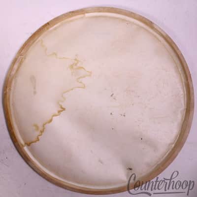 Slingerland Tom Tom 13"Genuine Calf Skin Drum Head Batter Vintage 60s Sound King image 3
