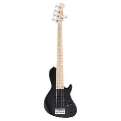 Sadowsky MetroLine 24-Fret Singlecut Soapbar Bass 5 String, Swamp Ash Body, Solid Black Satin image 1