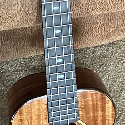 Kala Ka-Ct-Sa-Tg All Solid Acacia Tenor Ukulele image 4