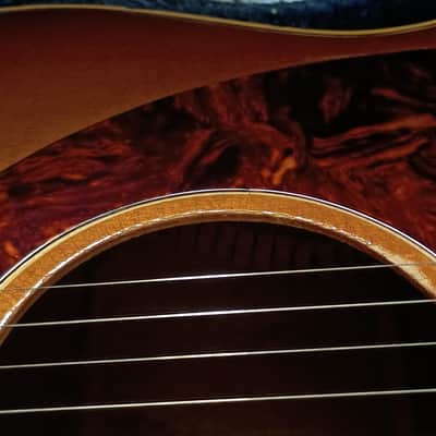 1964 Epiphone Cortez- Kalamazoo made, fantastic tone! image 5