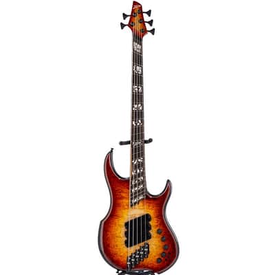 DINGWALL Z3 Cello Hip 5st w/ Burl Maple Top, Roasted Ash Neck, Ziricote Fingerboard/ 2022 NAMM Model image 2