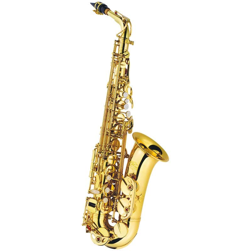 J.Michael Alto Saxophone Outfit image 1