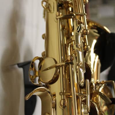 Selmer SAS511 Intermediate Alto Saxophone image 6