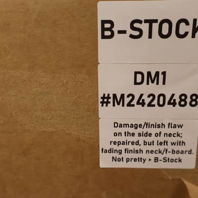 Eastman DM1 Gypsy Jazz, Spruce/Maple (B-Stock) image 9