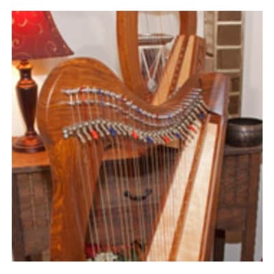 Roosebeck HMNA5CSP | Minstrel Harp 29-String, Chelby Levers Sheesham 5 Panel with Pedestal image 7