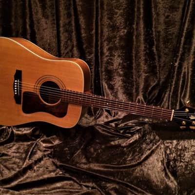 Guild DV6 1997 Westerly Rhode Island Dreadnought Acoustic Mahogany Back and Sides like a D40 D18 image 1