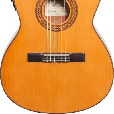 Ibanez GA5TCE Classical Acoustic-Electric Guitar, Natural w/ Gig Bag and Tuner image 3