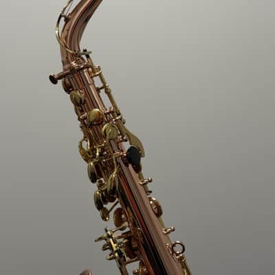 Buffet Crampon SAXO ALTO SENZO BC2525 - 7B - 0 image 6