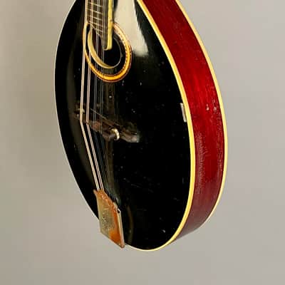 Gibson A-4 Mandolin 1913 Blacktop image 6