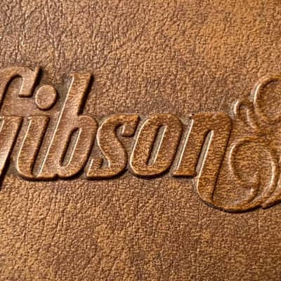 Gibson Damaged Dealer catalog colored cover version 1975 image 3
