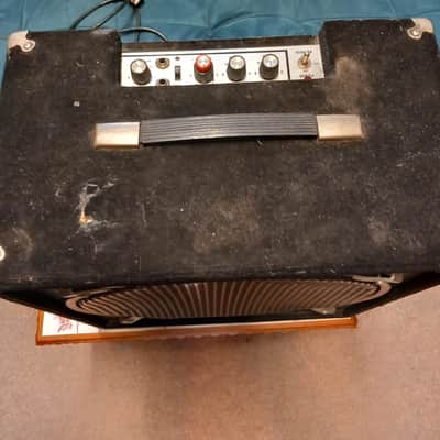 Polytone Mini Brute image 4