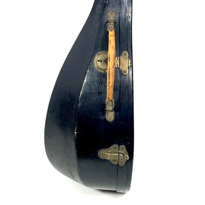 Concert Mandolin Raffaele Calace (Nicola Maria Calace) from 1902 image 20