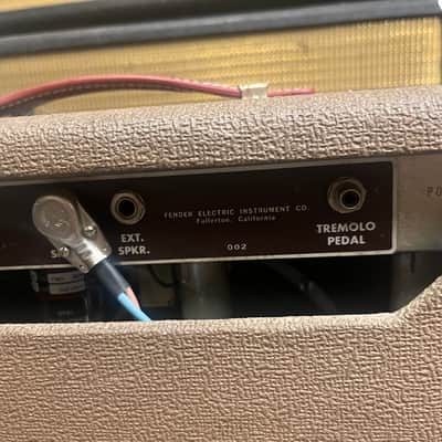 Fender Princeton 1962 Brown, Weber AlNiCo, 220-240 V image 12