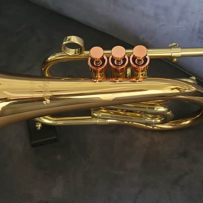 Carol Brass Compact Flugelhorn / Taylor Phat Puppy 2023 - Polished / Lacquered image 18