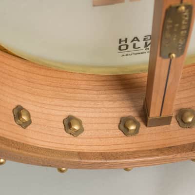 Pisgah Dobson 5 String Banjo (2025), ser. #3810 imagen 17