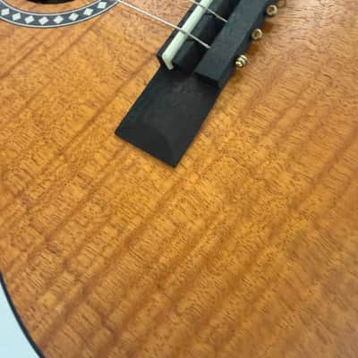 Vogga VCC630EQ MS Electro-Acoustic Cavaquinho (Imported from Brazil) image 9