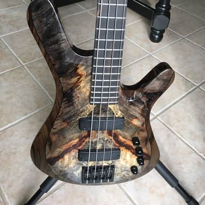 Kiesel V49K Vanquish 4 string 2017 Buckeye Burl 2017 NAMM Build image 1