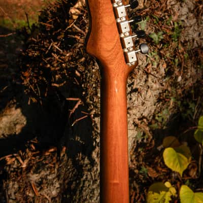 2016 Echopark Arroyo Californian Build - Dean Fertita Model & Spec image 9