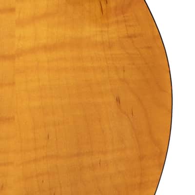 Gold Tone Grandmaster Elite Old Swiss/Italian Spruce Top 8-String Mandolin w/Hard Case image 10