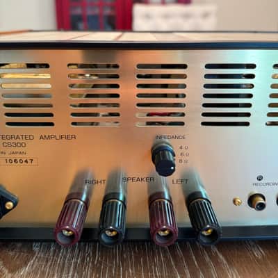 Leben  Cs300 integrated tube amplifier image 9