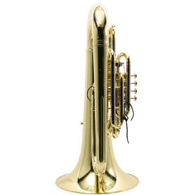 Eastman EBF862 Professional F Tuba in Clear Lacquer image 14