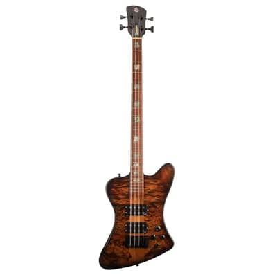Spector X Series USA Custom NS-4X Bass Guitar - Ale's Inferno - #022 image 2