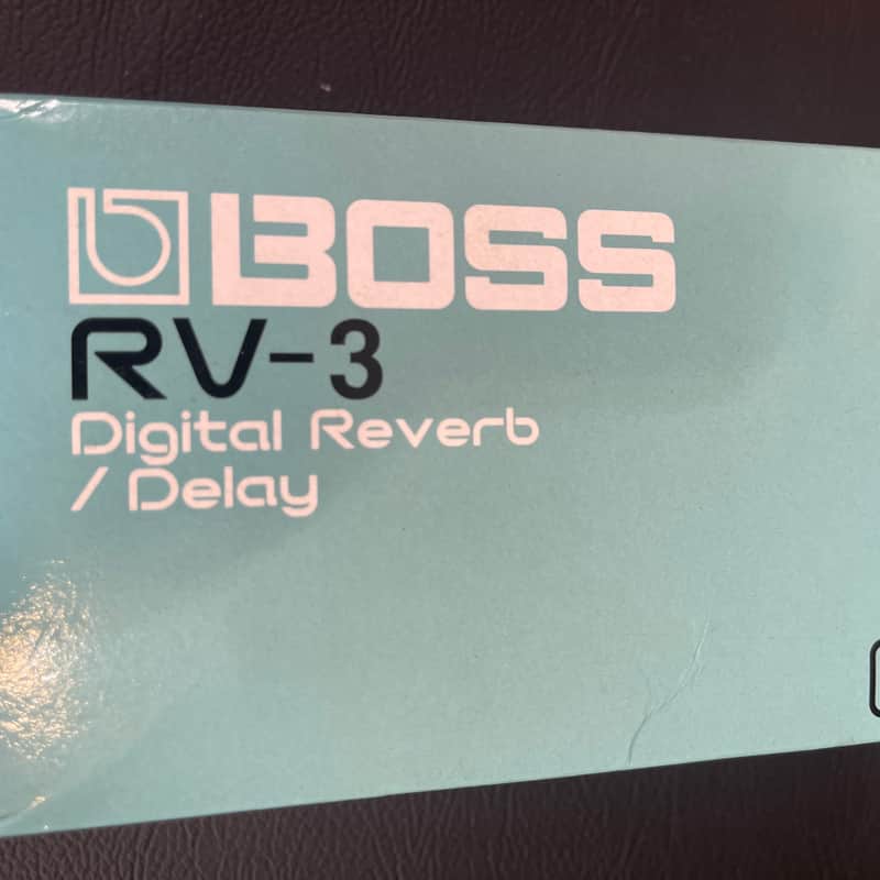 RV-3 Digital Reverb/Delay