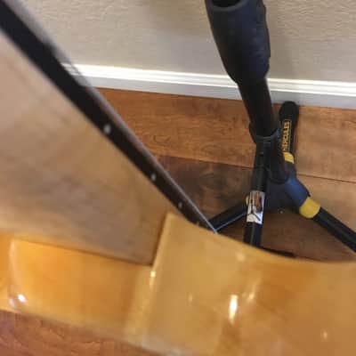 Dean Custom 350 W/Floyd comes with HSC image 8