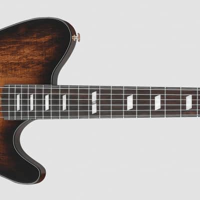 IBANEZ FRH20SMN TCL Tobacco Burst Low Gloss 6-String Classical Electric Guitar image 2