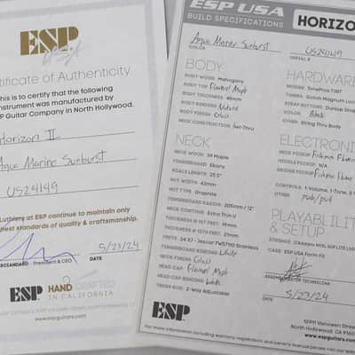 ESP USA Horizon-II FM FSM Aqua Marine Sunburst image 14