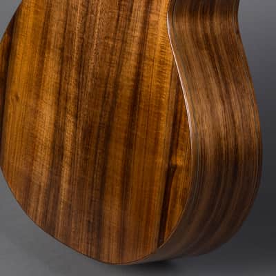 ATR Classical 2025 - French polish image 3