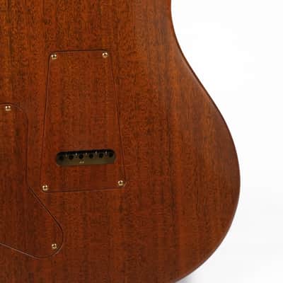 PRS Birds Of A Feather Private Stock Guitar Of The Month Owned by David Grissom image 16