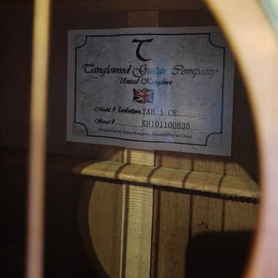 Tanglewood TAB1-CE Acoustic Electric bass image 3