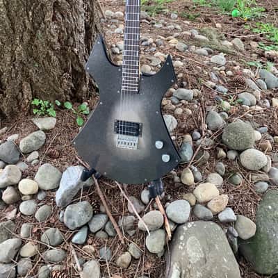 Custom R L James Guitar Custom Animal 2026 - Custom image 1