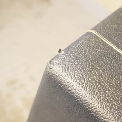 CUSTOM Marshall Studio Vintage SV212 140-Watt 2x12" Angled Guitar Speaker Cabinet W/HEAVY DUTY BRAKED CASTERS! image 6