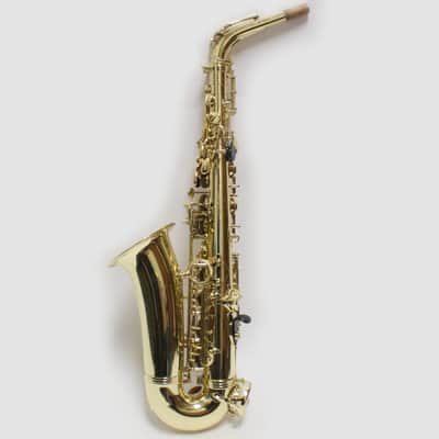 Used Selmer Paris Super Action 80 Series II 52NG Professional Alto Saxophone image 5