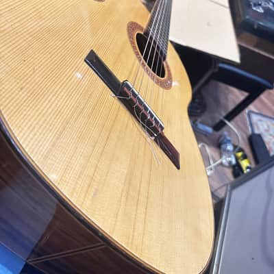 Vintage Giannini AWN71 Acoustic Guitar – Playable, Needs Restoration image 9