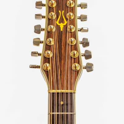 Daion Year Series '81 Gazelle / 12 String Electric Acoustic image 18