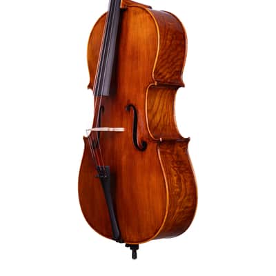 Goffriller Cello 4/4 from One Piece Back - Hand-Made in Romania 2025 #78 image 13