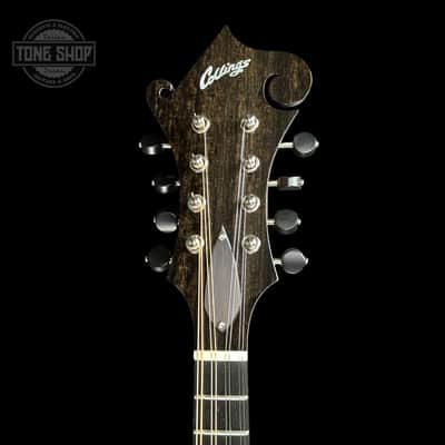 Collings MF Mandolin Gloss Top Sunburst w/Case F2340 image 6