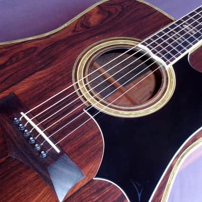 1975 Yairi YW-800G Japan Vintage Grammer Guitar Style + Original SKB Case image 13